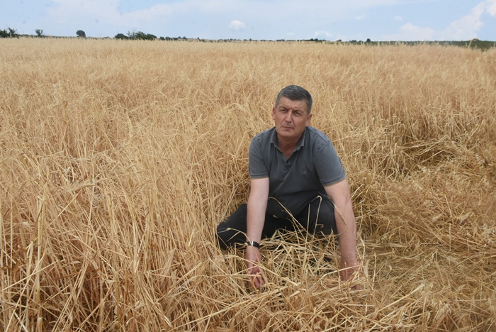 Edirne'de 5 bin dekar ekili alan doludan zarar gördü