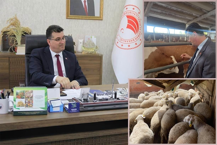Aksoy; “Kırklareli Kurban Bayramı’na hazır”