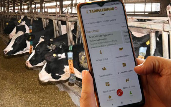 Kurbanlık hayvanı Tarım Cebimde’den sorgulayabilirsiniz