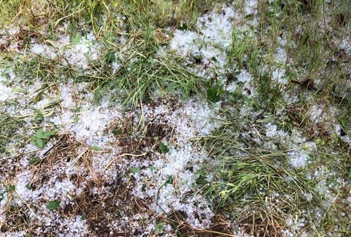 Dolu hasar bedeli ilk sırada yer aldı