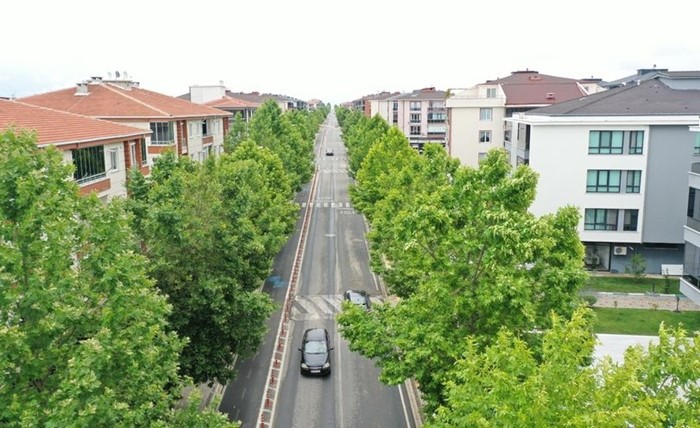 “Lüleburgaz'ın dört bir yanına yayılacak”