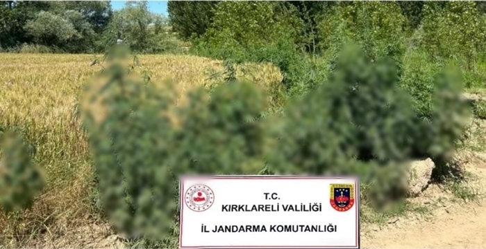 Jandarmadan uyuşturucu ve kaçakçılara darbe
