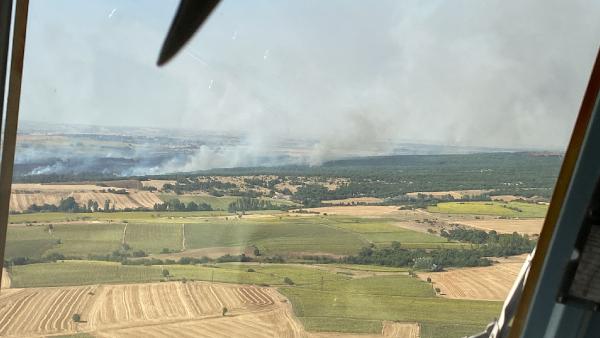 Edirne'de tarladan ormana sıçrayan yangın, kontrol altına alındı