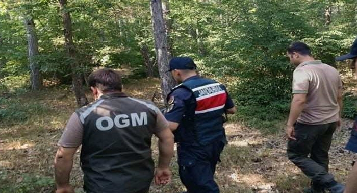Akören, Evciler ve Yenice köylerinde orman denetimi