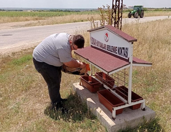Kırklareli Belediyesi bayramda sokak hayvanlarını unutmadı