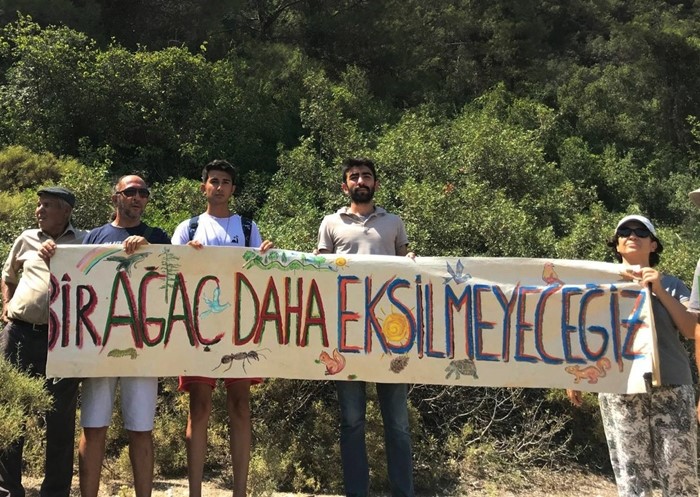 Akbelen Ormanı’nın korunması için STK’lardan ortak çağrı!