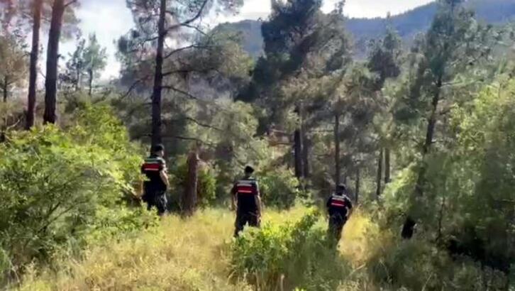 Tekirdağ'da ormanlara havadan ve karadan denetim