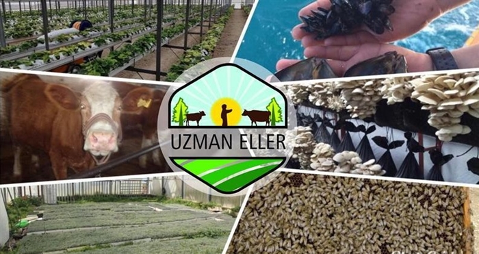 Başvurular bugün başladı
