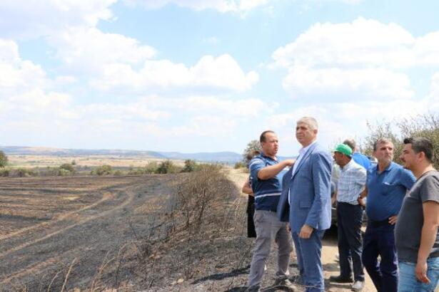Edirne'deki yangında 2 bin 330 dekar alanda zarar oluştu