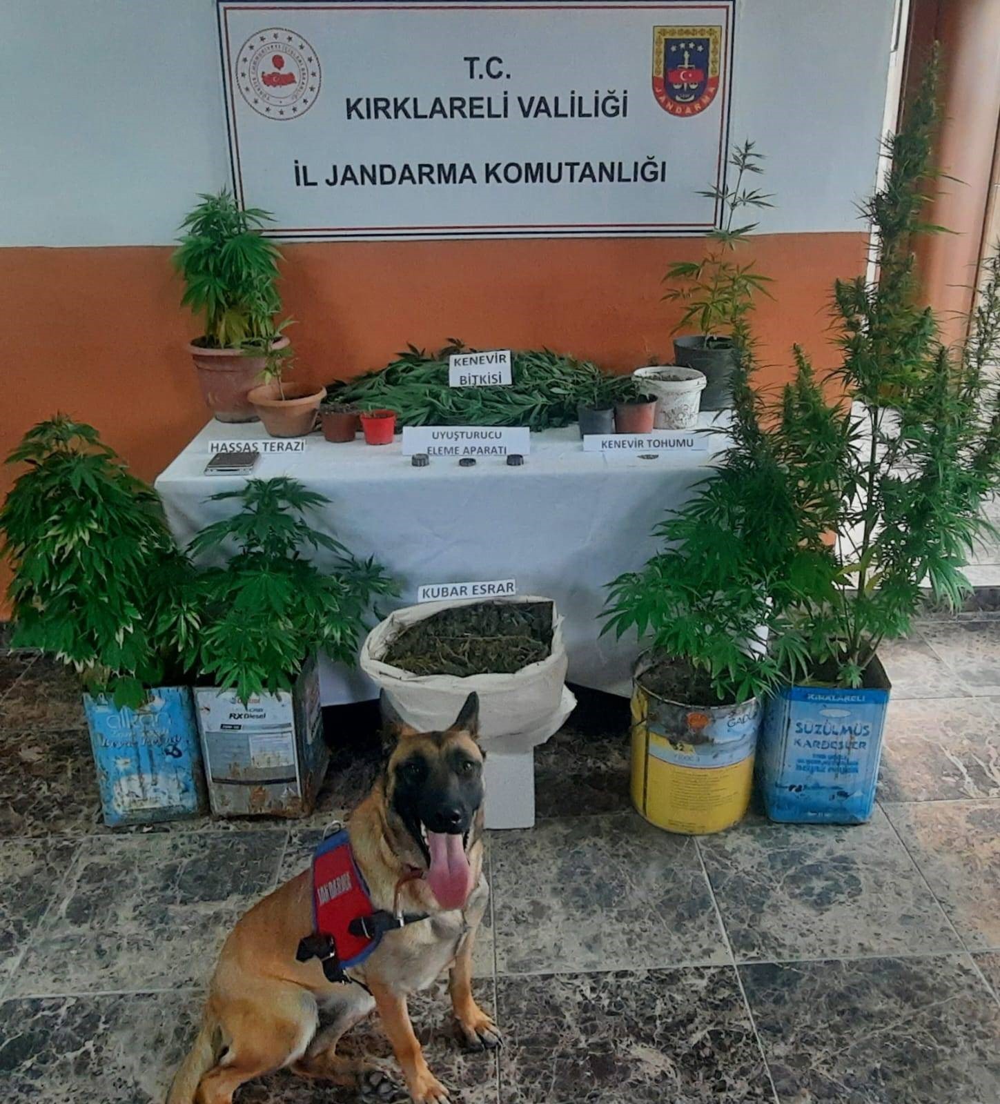 Jandarma’dan uyuşturucuya geçit yok