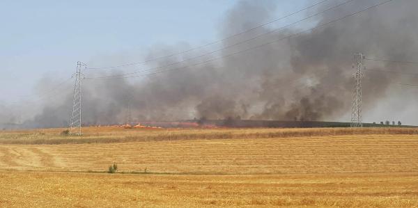 Malkara'da 40 dönüm buğday ekili tarla yandı