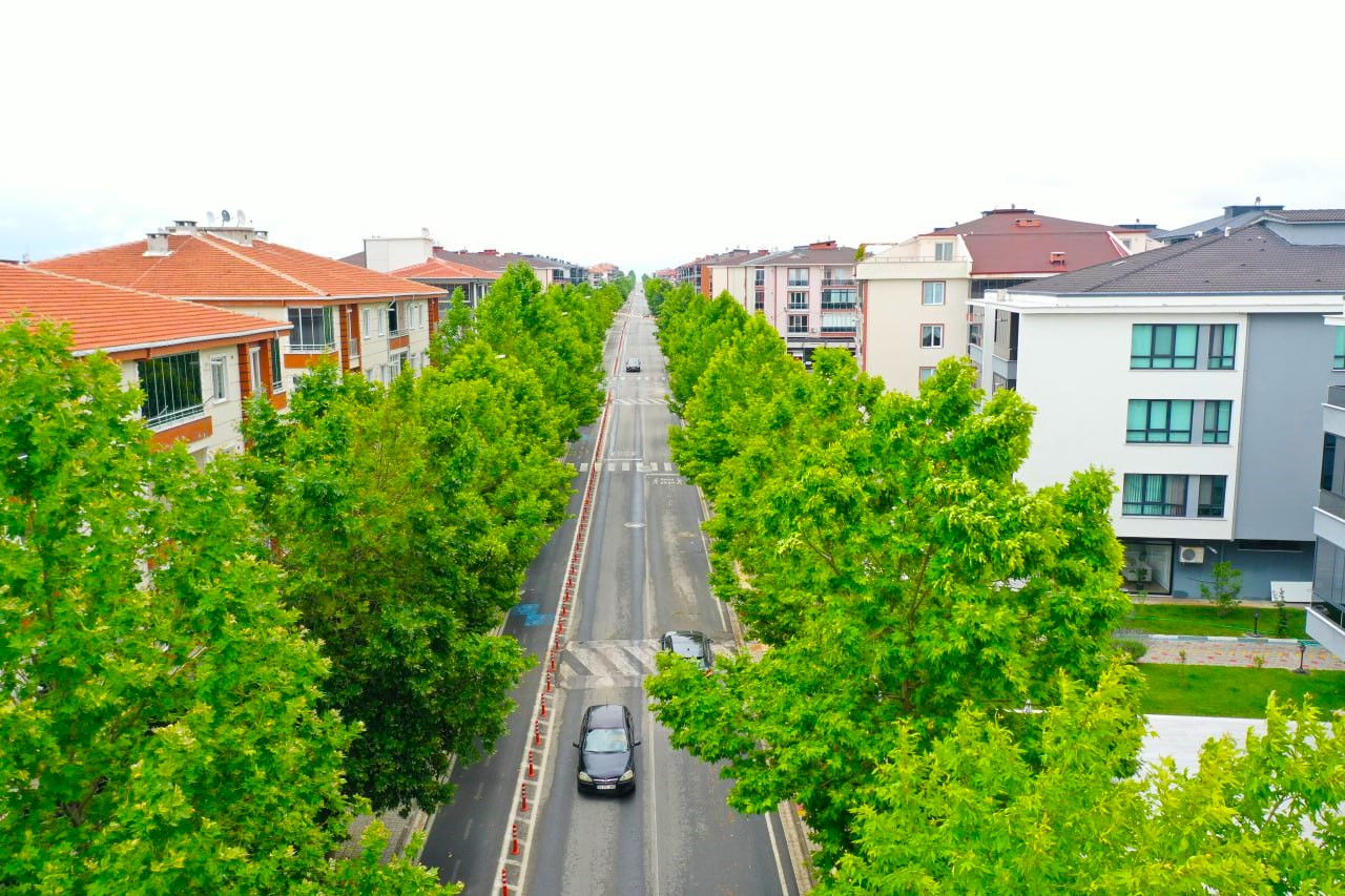 Lüleburgaz’da yeşil koridorlar artıyor!