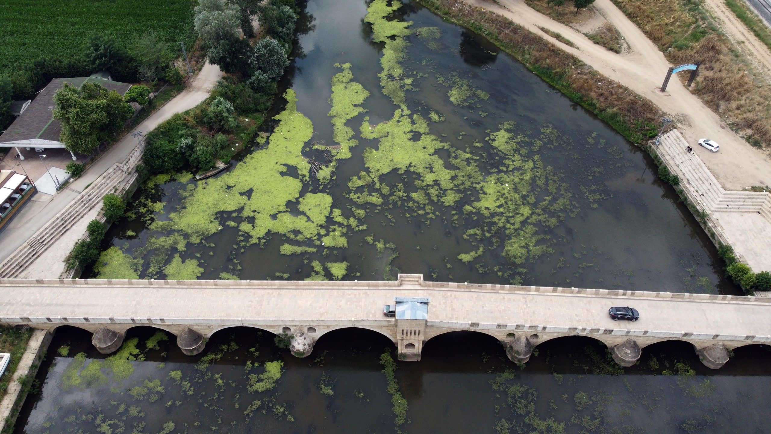 Tunca Nehri'nde su seviyesi yarıya düştü; yüzeyi ot ve çöple kaplandı
