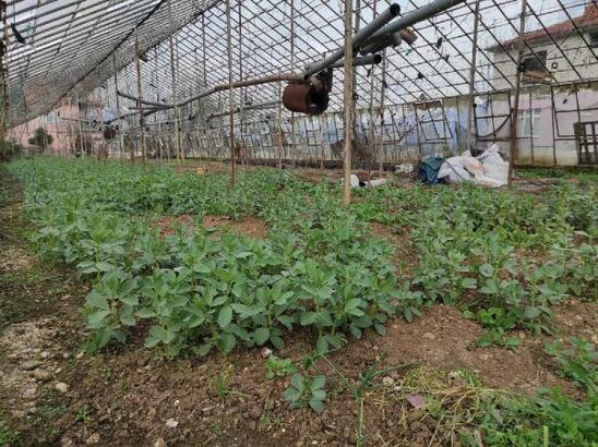 Kırklareli’nde Atıl Sera Alanlar Üretime Kazandırılacak