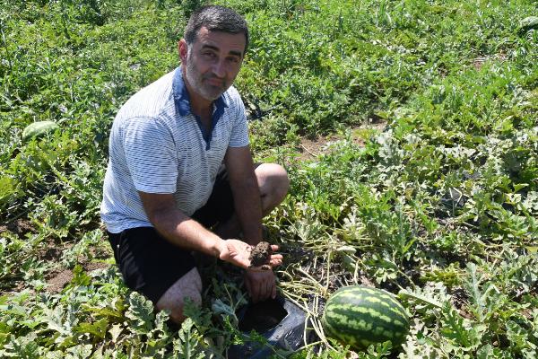 Poşetleme sistemi ile kuraklığı yendi; 10 ton karpuz elde etti