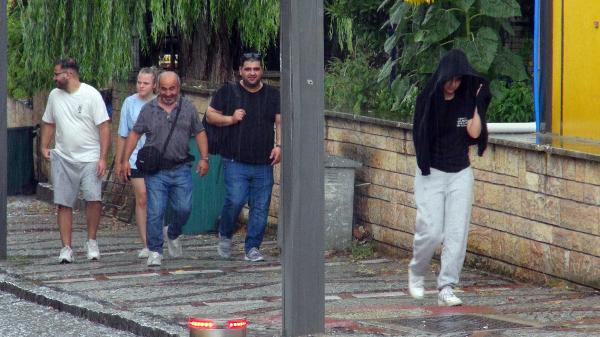 Edirne'de rüzgar ve yağmur etkili oldu; ağaçlar devrildi