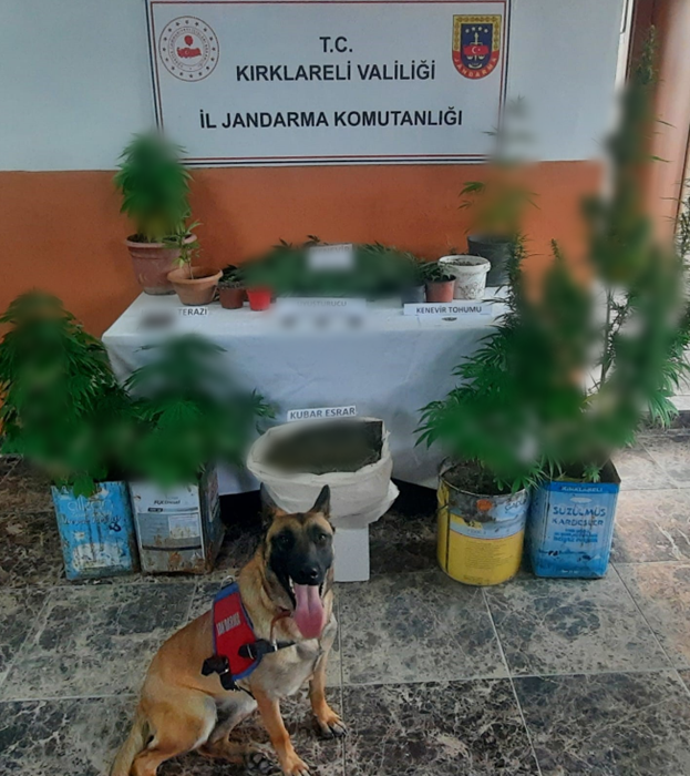Jandarmadan Kaçakçılık ve Organize Suçlara Darbe