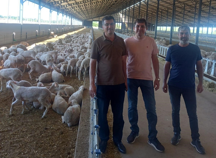 Müdür Aksoy Ataköy’deki koyun işletmesini ziyaret etti
