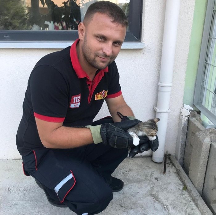 Lüleburgaz Belediyesi Ekipleri, Kedileri Kurtardı!