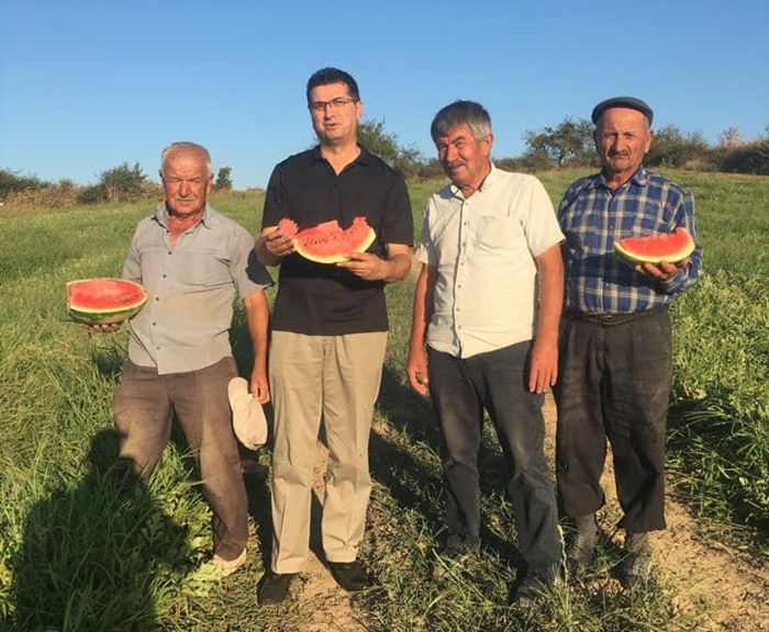 Bayramdere Köyü'nde Bereketli Karpuz Hasadı Başladı