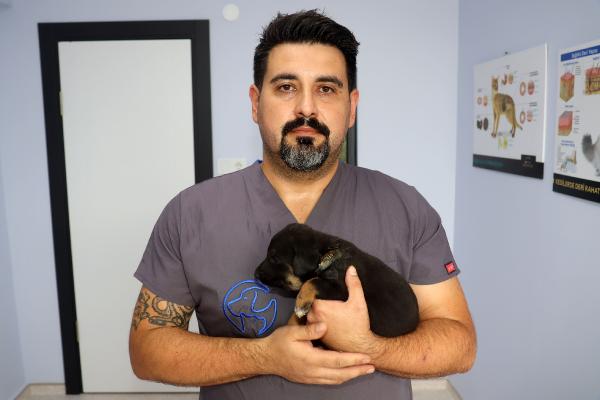 Boğazında ısırık yarası bulunan yavru köpeği barınağın kapısına terk ettiler