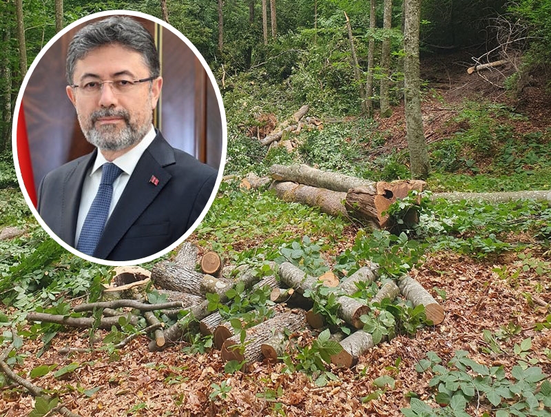 Bakan Yumaklı’dan Orman Köylüsüne Yakacak Odun Müjdesi