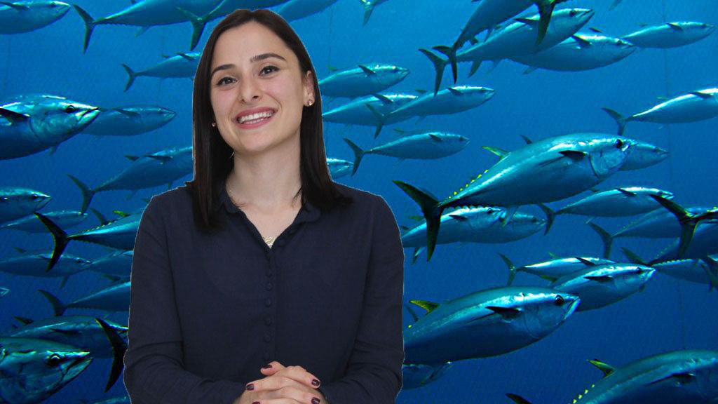 Diyetisyen Karaca’dan Deniz Mahsulleri Hakkında Önemli Bilgiler