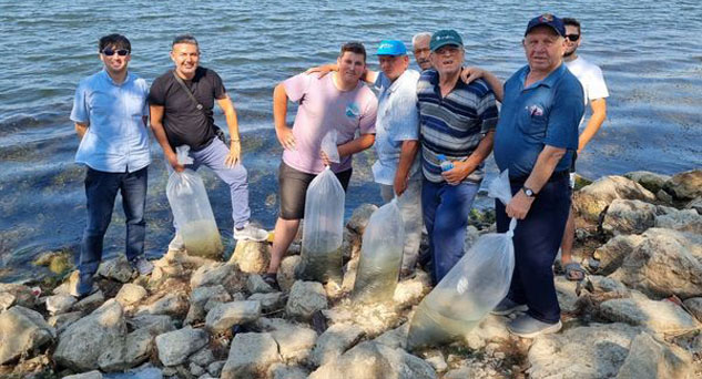 74 Bin Adet Sazan Yavrusu Göletlere Bırakıldı