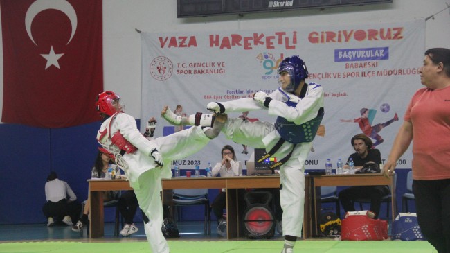 Babaeski’de 30 Ağustos’a Özel Taekwondo Turnuvası