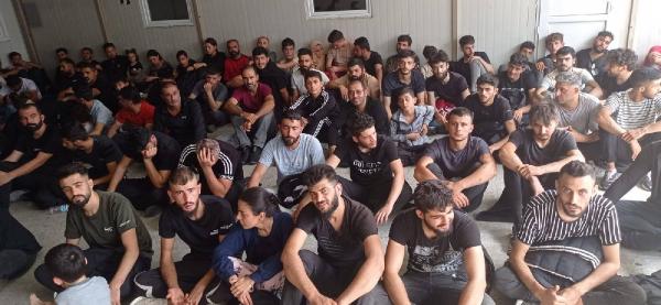 Edirne'de 89 kaçak göçmen yakalandı
