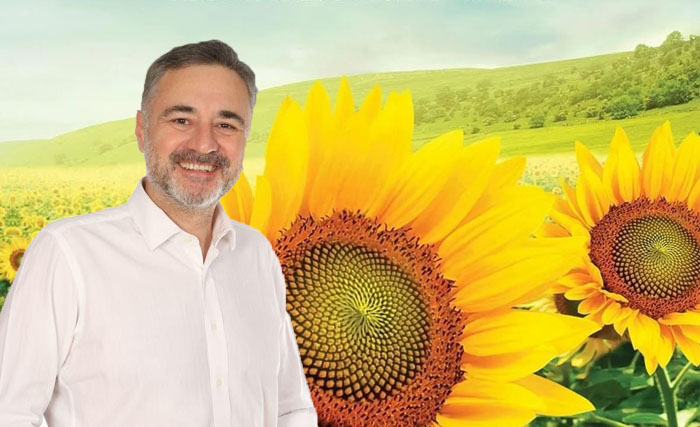 Milletvekili Sarıçam “Ayçiçek Alım Fiyatları Açıklandı”
