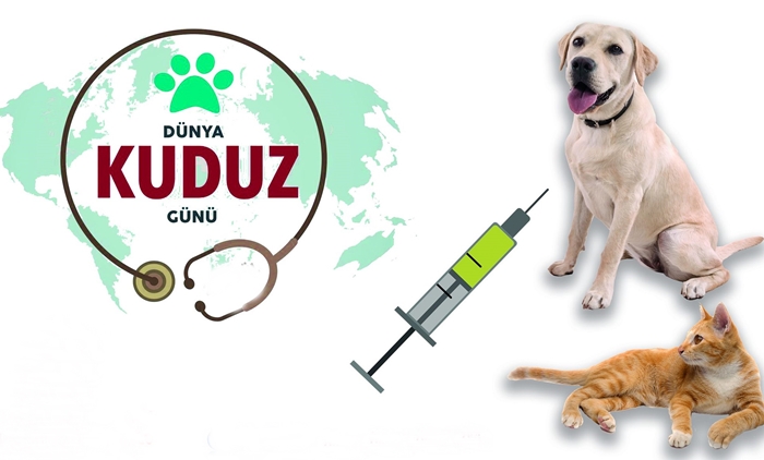 Kırklareli İl Sağlık Müdürlüğünden Kuduzla Mücadelede Bilinçlendirme Açıklaması