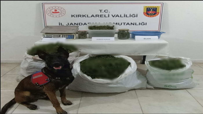 Jandarmadan 5 uyuşturucu ve 1 kaçakçılık olayına müdahale