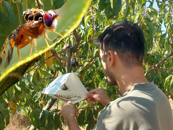 Kontroller Periyodik Olarak Yapılıyor