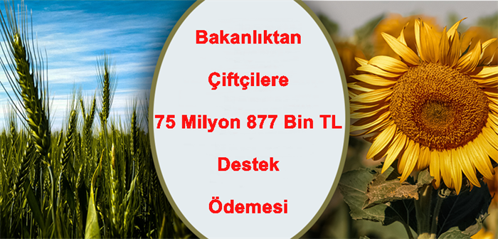 Bakanlıktan Çiftçilere Toplam 75 Milyon 877 Bin TL Destek Ödemesi