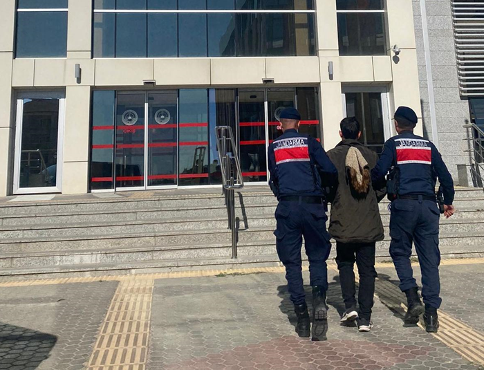 Jandarma Operasyonunda Terör Örgütü Üyeleri Yakalandı