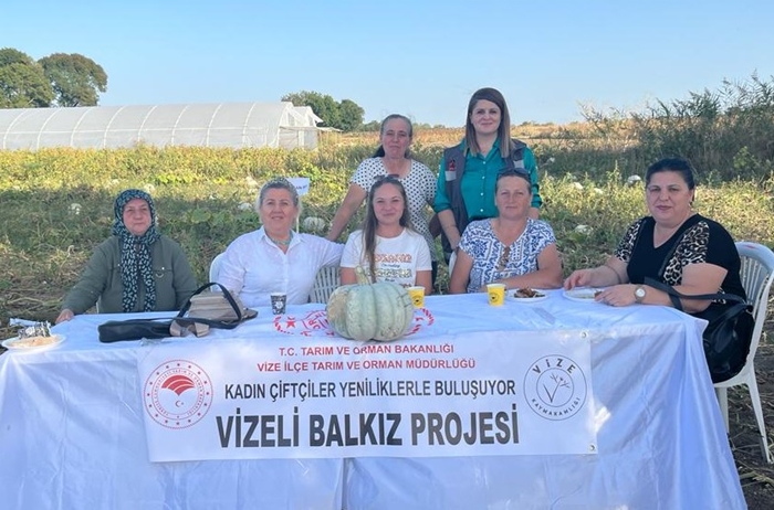 Vize İlçesinde Balkabağı Hasadı