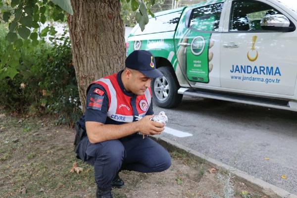 Edirne'de durdurulan otobüste kaçak hayvanlar ele geçirildi