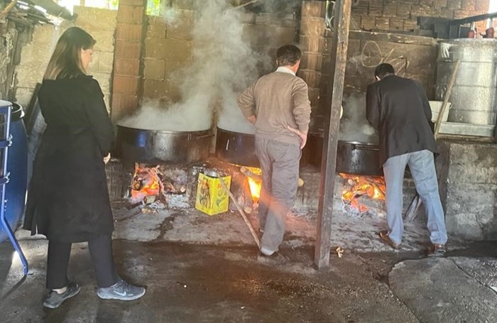 Soğucak Köyünde Geleneksel Şeker Pancarı Pekmezi Yapım Aşamaları İncelediler