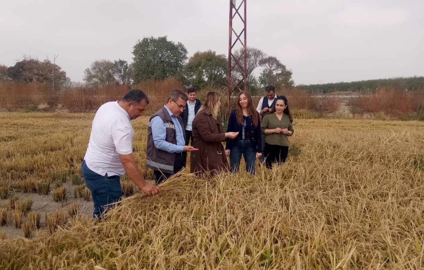 Pehlivanköy'de Üretilen Çeltiklerden Yapılan Pirinç Pilavı İkram Edildi