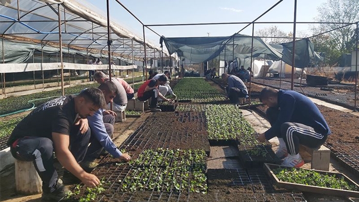 Mevsimlik çiçekler, şehrin güzelliklerine yeni bir soluk getirecek