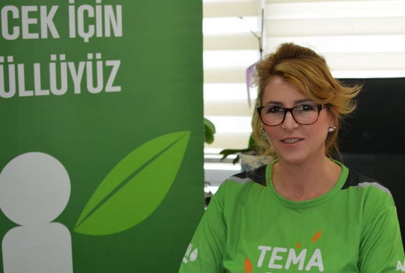 Ağaçların Devrilmesi TEMA Vakfı'nı Endişelendiriyor