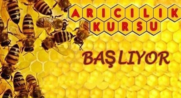 Babaeski Halk Eğitim Merkezi'nden Arıcılık Kursu Fırsatı