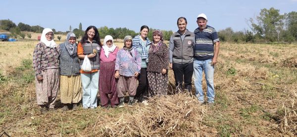 Kuru Fasülye Tarlasını Ziyaret Ederek Hasadı İncelediler