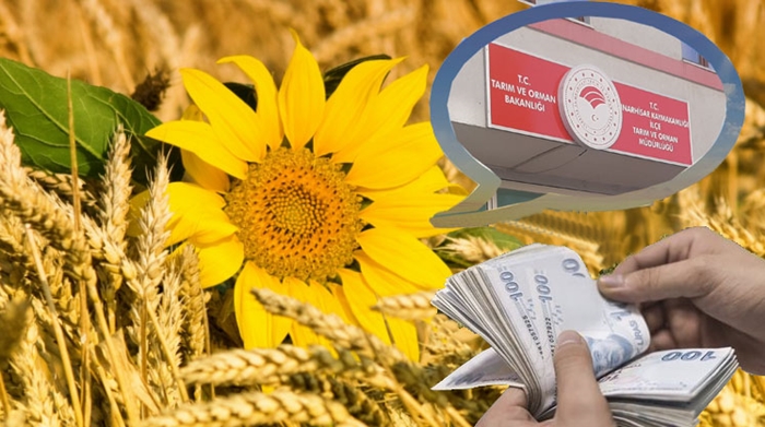 Çiftçilerin Mazot ve Gübre Desteği Banka Kartlarına Tanımlandı