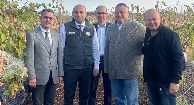 Pınarhisar'ın Poyralı Köyünde Bağ Bozumu Yapıldı