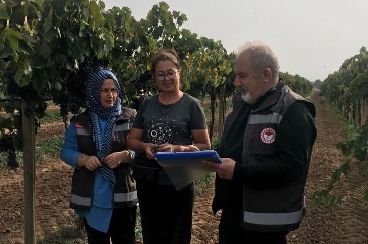 Tarımsal Danışmanlar Üreticilere Sahada Destek Sağlıyor
