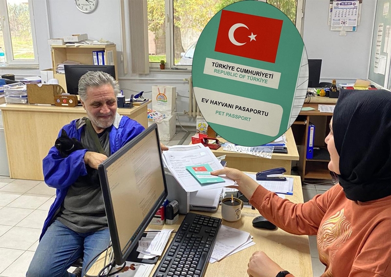 Patiler Uluslararası Yolculukta Güvende