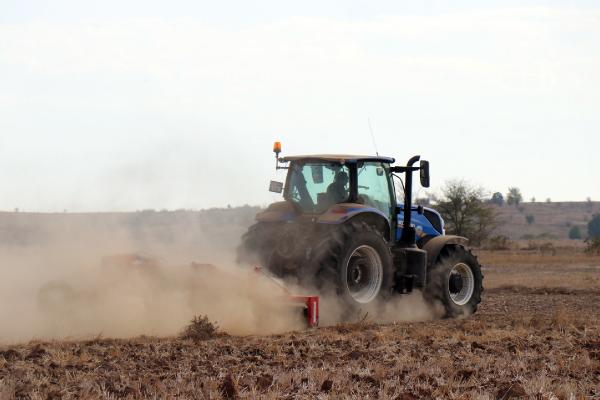Trakya'da buğday kuru toprağa ekilip, yağış beklenmeye başlandı