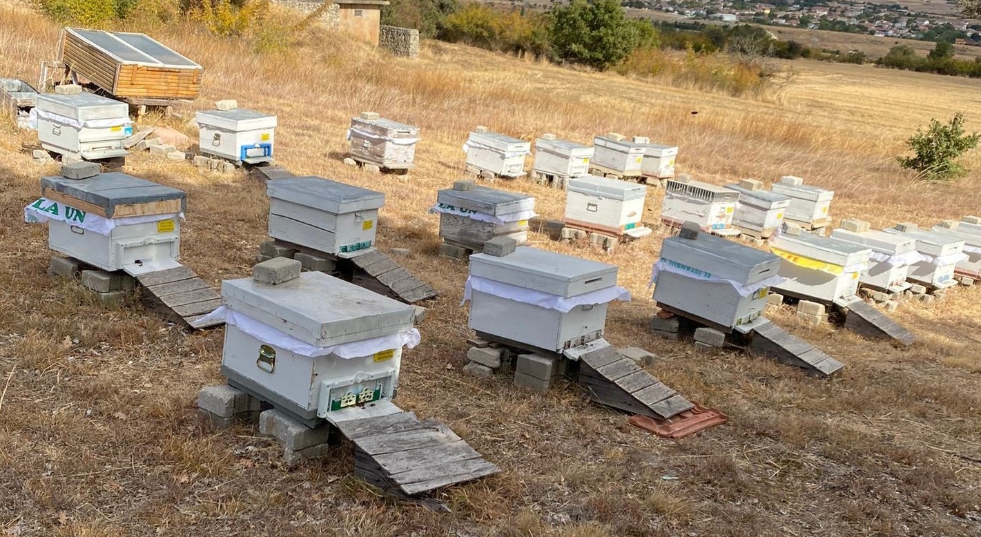Arılı Kovan Destekleme Başvurularında Son Tarih 29 Aralık